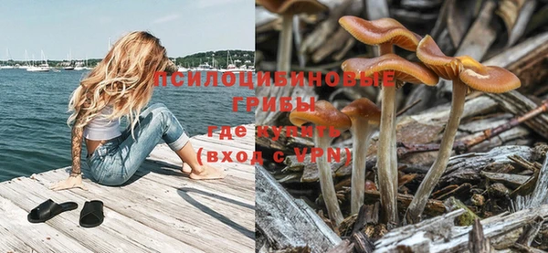 ешки Пересвет