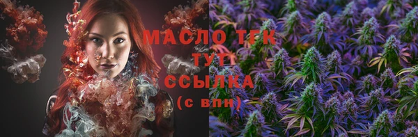 ешки Пересвет