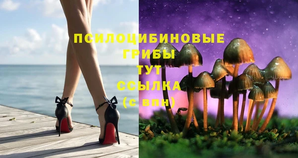 mix Пестово