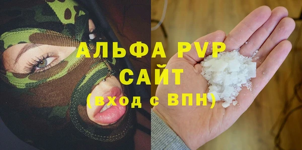 ешки Пересвет