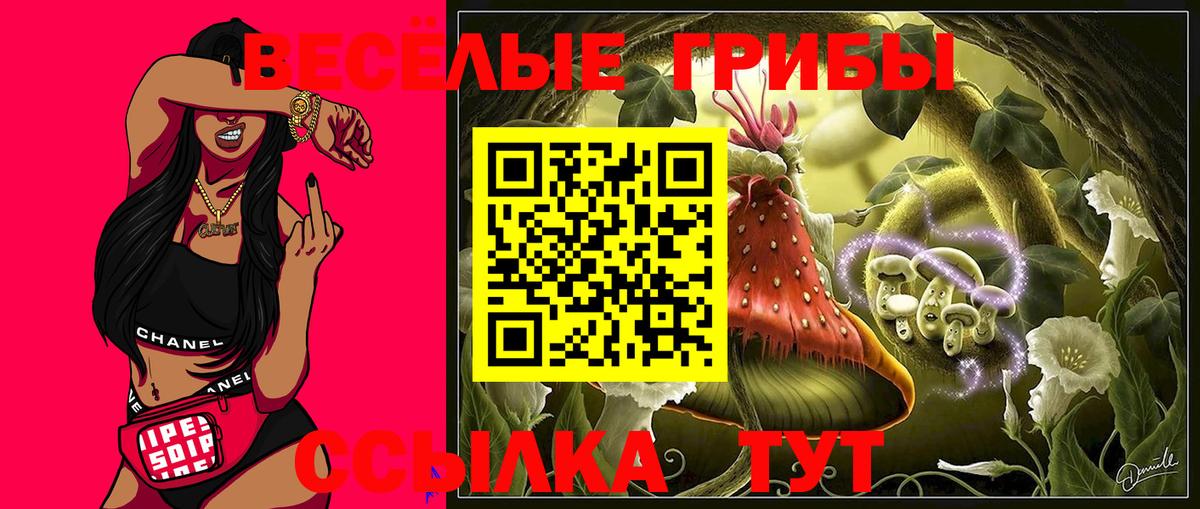Грязи  где продают   Вход с VPN  Галлюциногенные грибы Psilocybe  Псилоцибиновые грибы MAGIC MUSHROOMS 